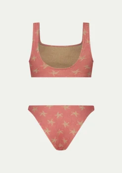 PARAMIDONNA EMILY DUSTY PINK GOLD> One Size | Two Piece